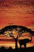 plakaty-africa-sunset-elephant-10096.jpg